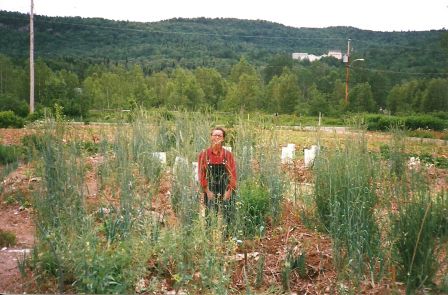 Photo d'un champ au Québec, avec une forêt de sapins derrière. Slyvie est à peine visible car à genoux dans le champ entourée d'herbes. Elle semble souriante, jeune, portant des salopettes noirs et une chemise rouge.